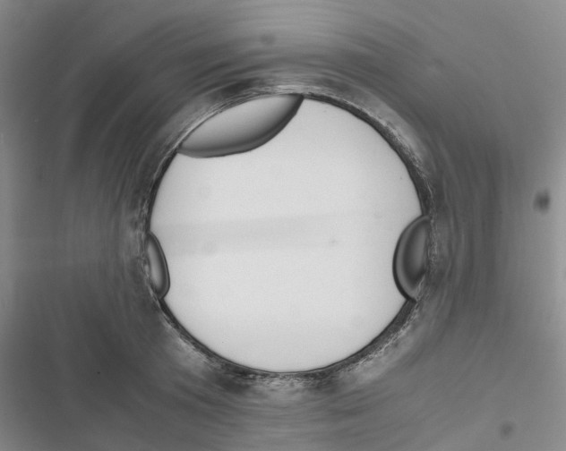 X0000116820801201001151204