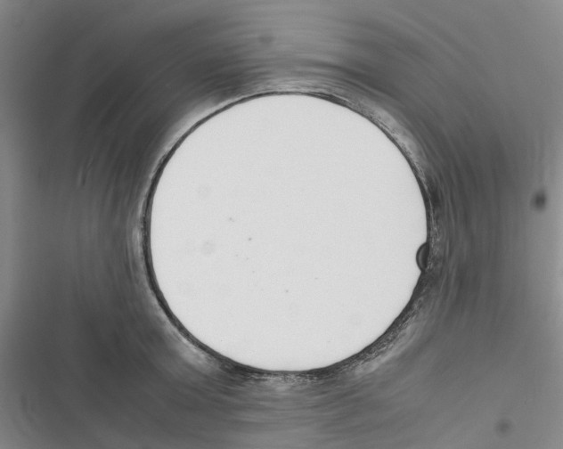 X0000116820803201001151204