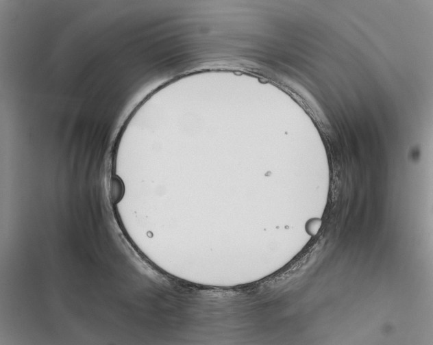 X0000116820804201001151204