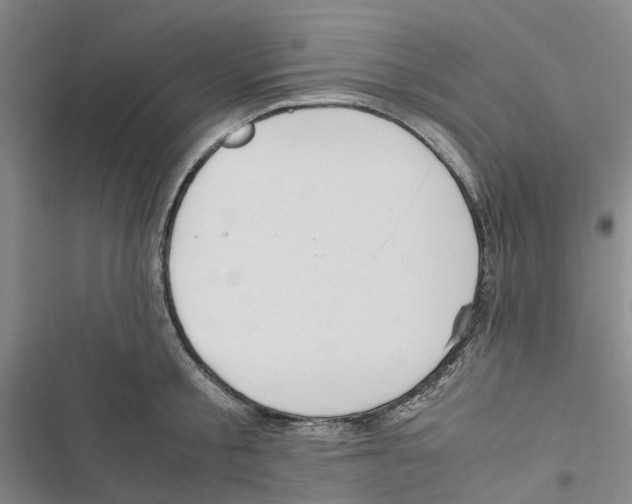 X0000116820805201001151204