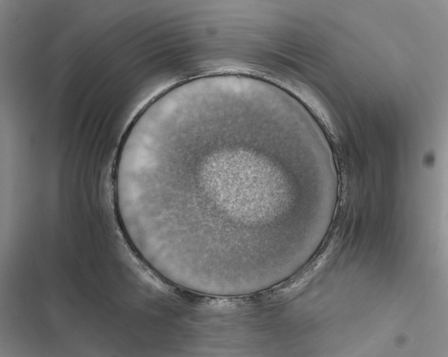 X0000116820806201001151204