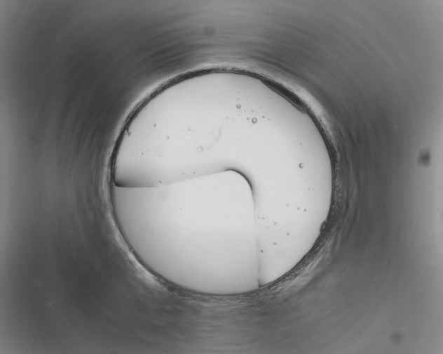 X0000116820807201001151204