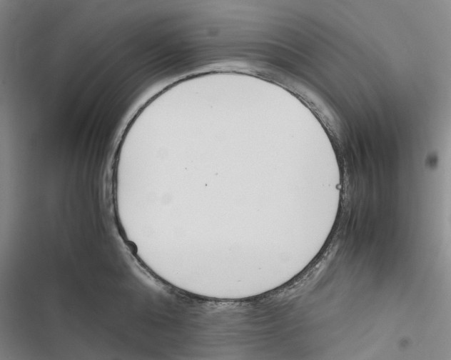 X0000116820808201001151204