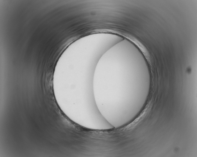 X0000116820809201001151204