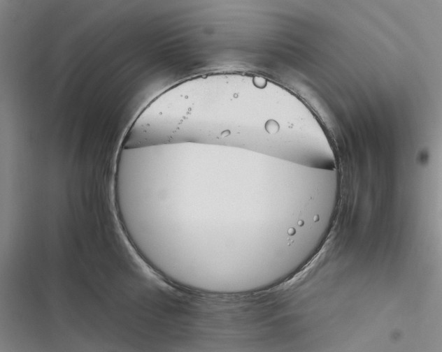 X0000116820810201001151204