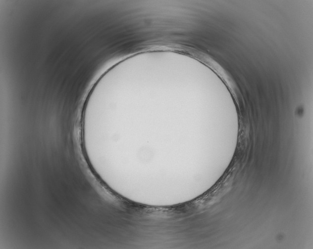 X0000116820811201001151204