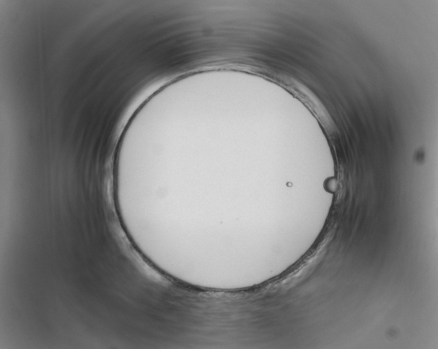 X0000116820812201001151204