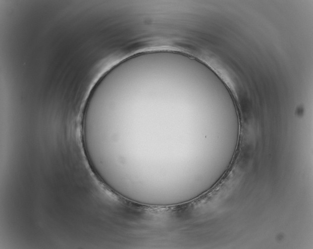 X0000116820813201001151204