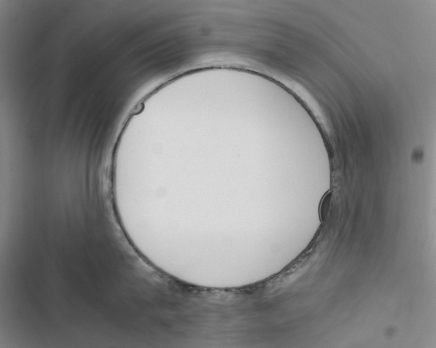 X0000116820815201001151203