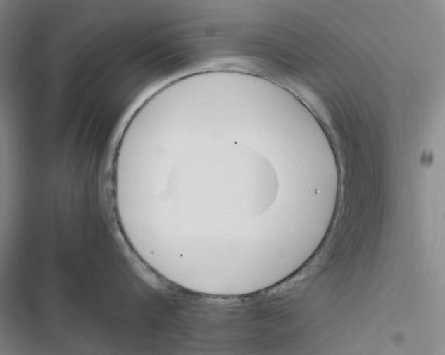 X0000116820816201001151203