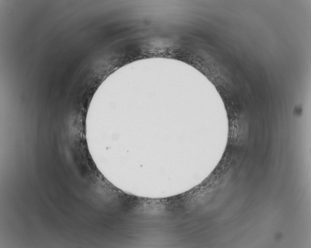 X0000116820820201001151203