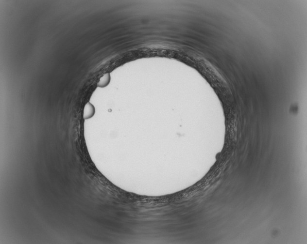 X0000116820821201001151203