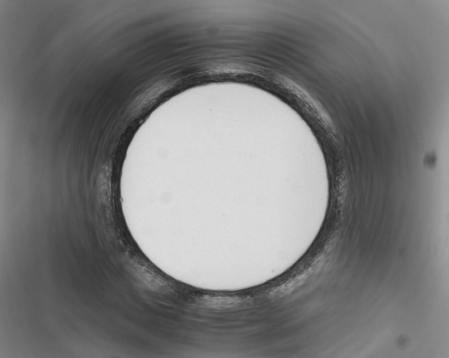 X0000116820825201001151203