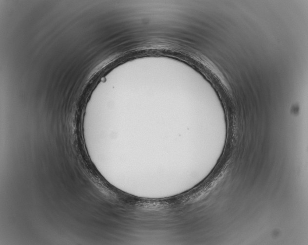 X0000116820826201001151203