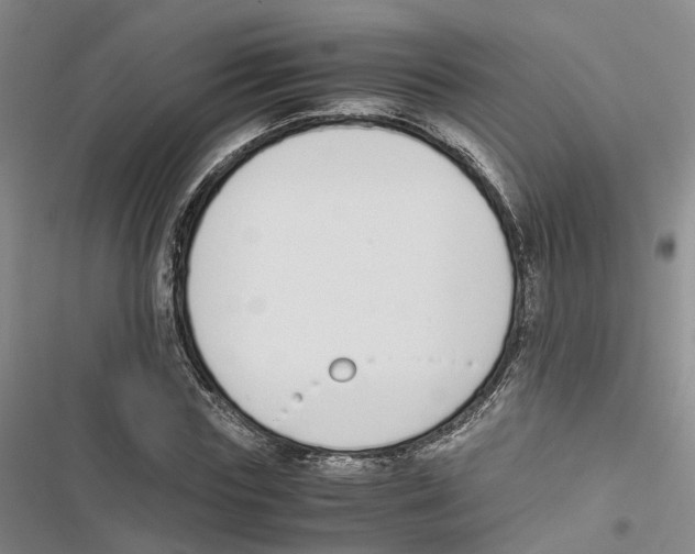 X0000116820827201001151203