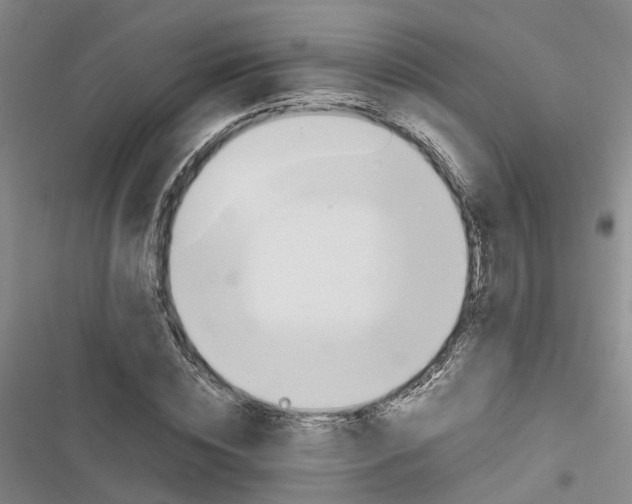 X0000116820828201001151203