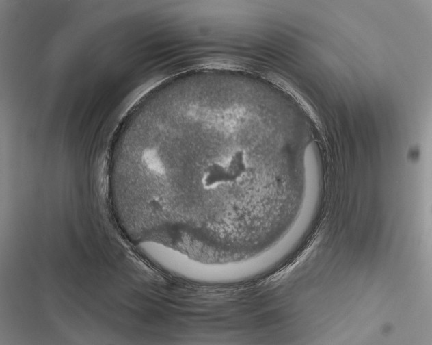 X0000116820829201001151203