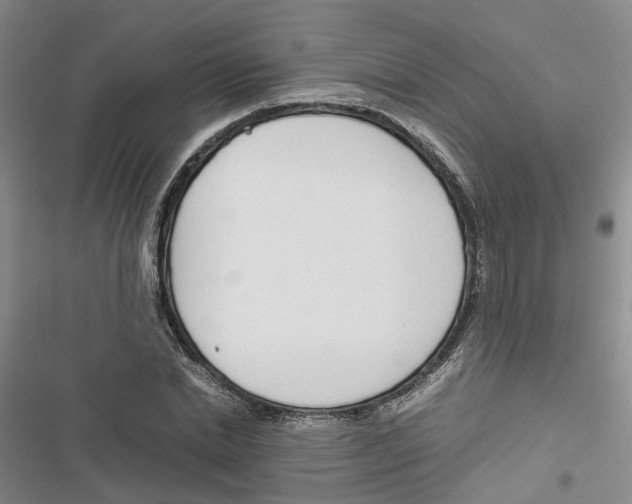 X0000116820830201001151203