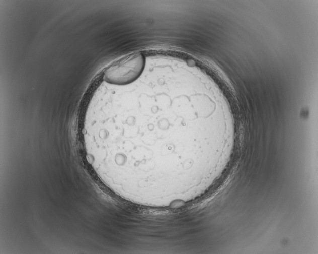 X0000116820831201001151203