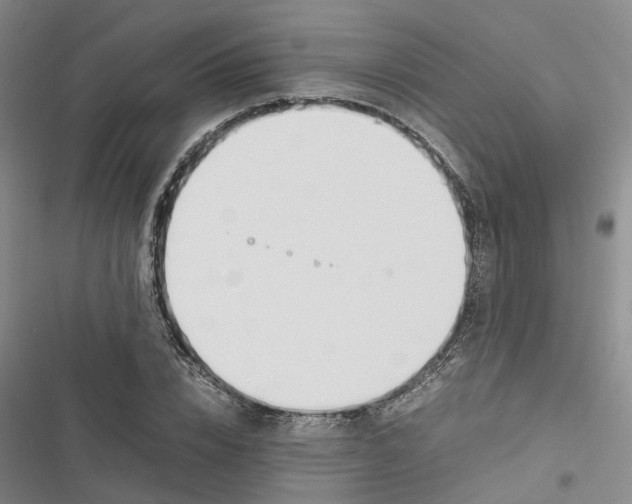 X0000116820832201001151203