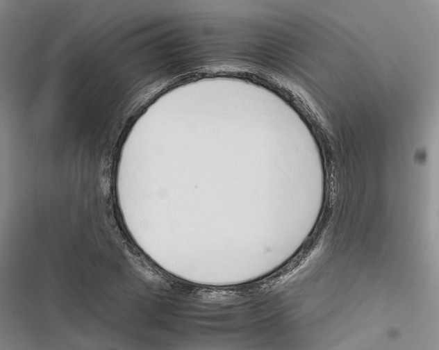 X0000116820833201001151203