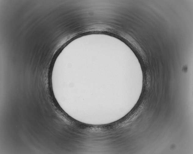 X0000116820834201001151203