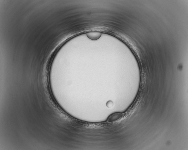 X0000116820835201001151203