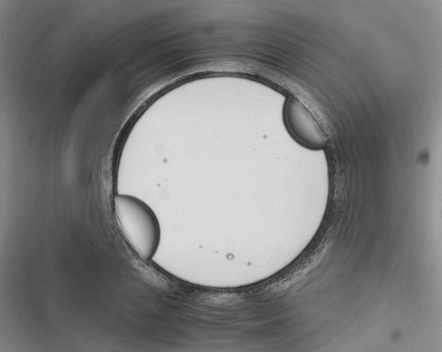 X0000116820837201001151203