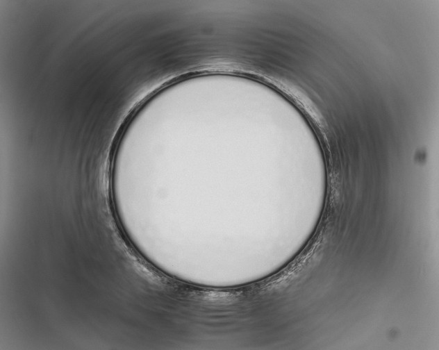 X0000116820839201001151203