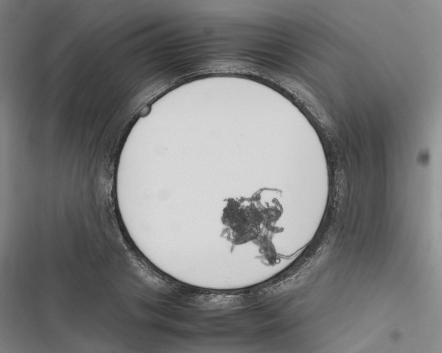 X0000116820841201001151203