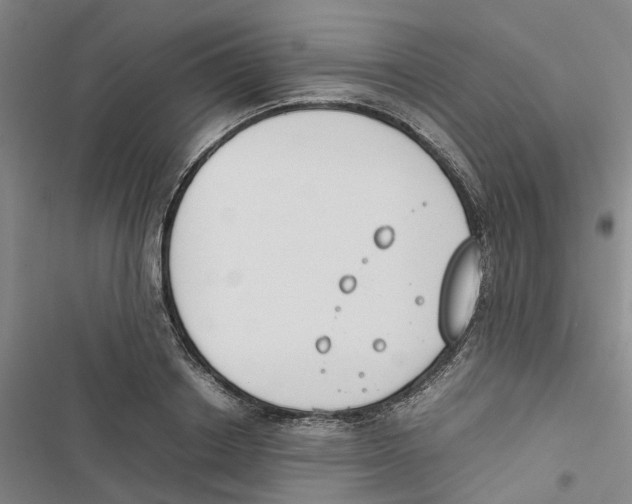 X0000116820842201001151203