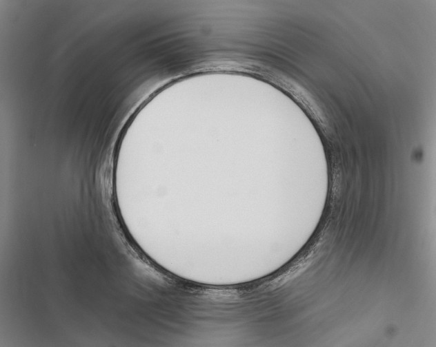 X0000116820844201001151203