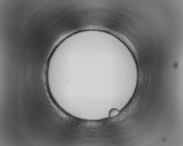 X0000116820847201001151203