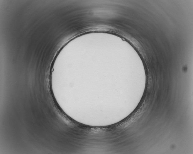 X0000116820850201001151203