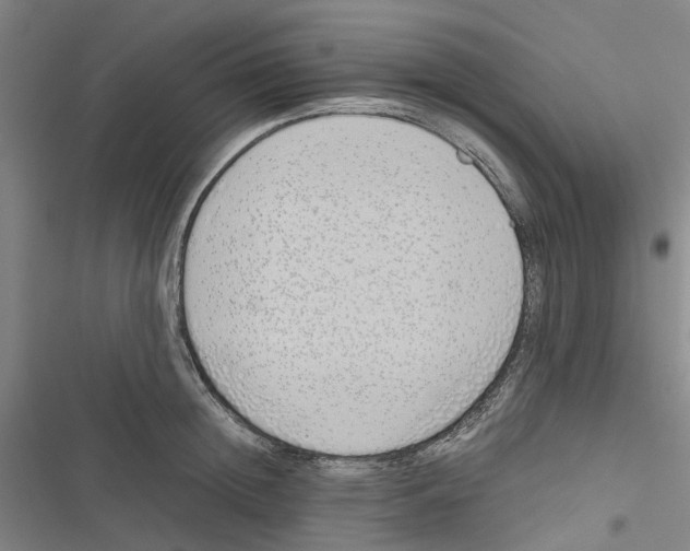 X0000116820852201001151203