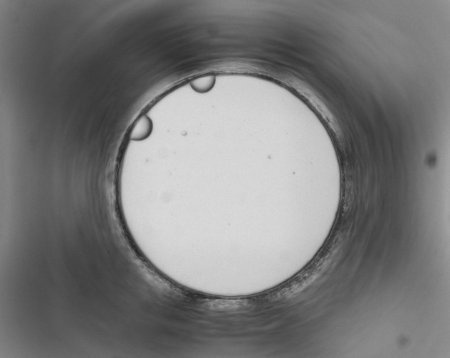 X0000116820853201001151203