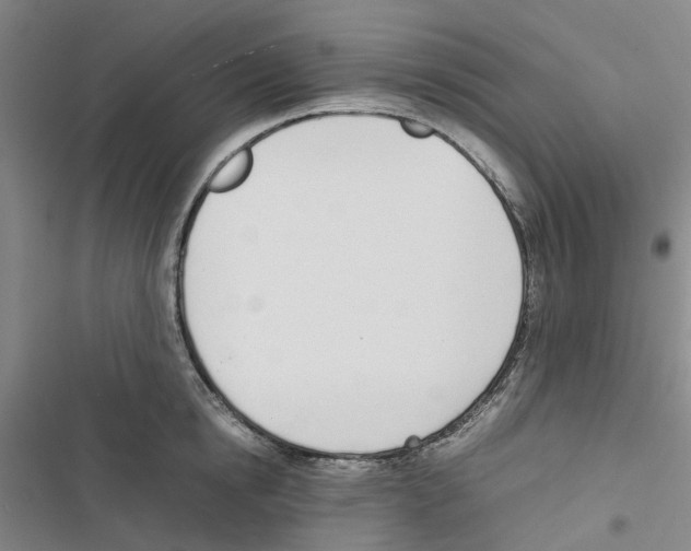 X0000116820854201001151203