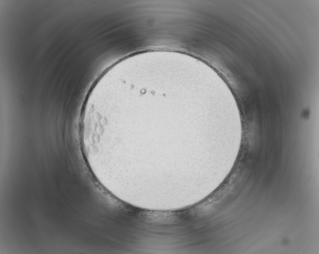 X0000116820856201001151203