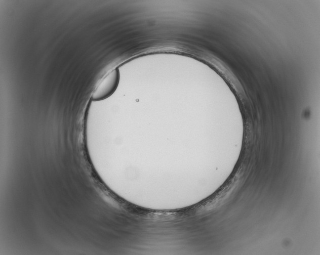 X0000116820858201001151203