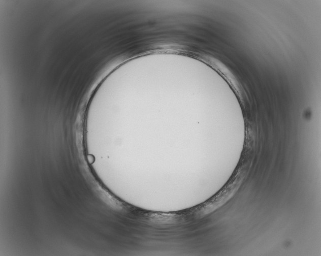 X0000116820859201001151203