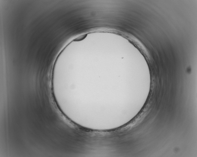 X0000116820860201001151203