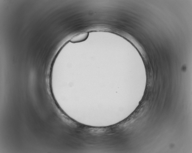 X0000116820861201001151203