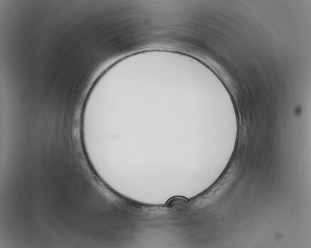 X0000116820862201001151203