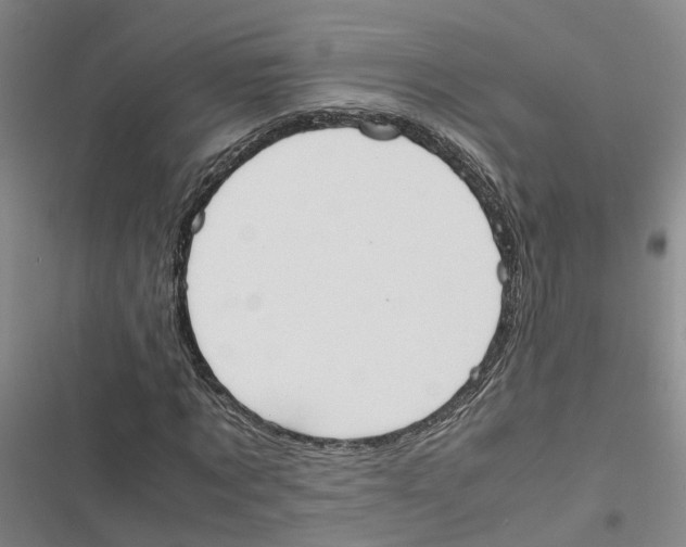 X0000116820869201001151203