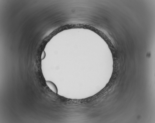 X0000116820871201001151203