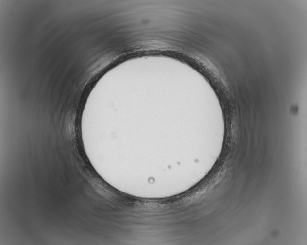 X0000116820873201001151203