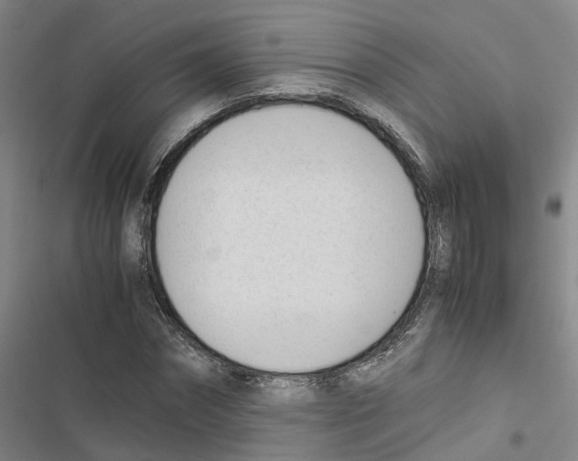 X0000116820874201001151203