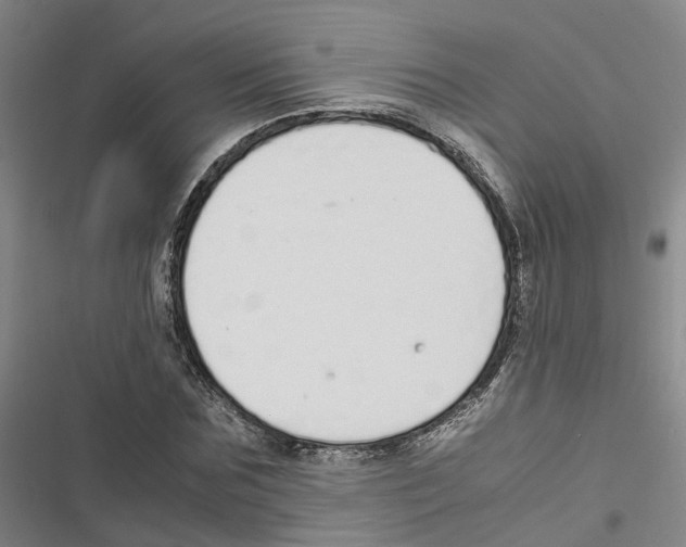 X0000116820875201001151203