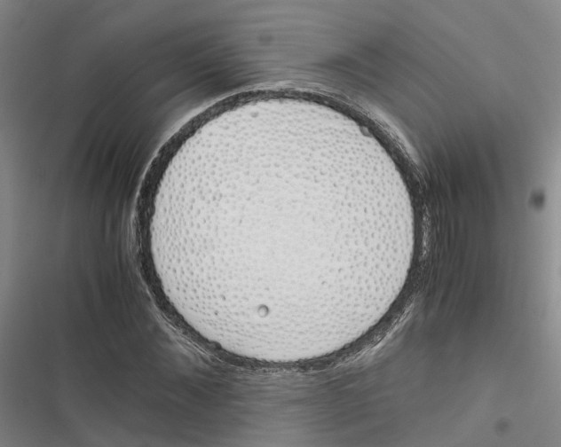 X0000116820876201001151203