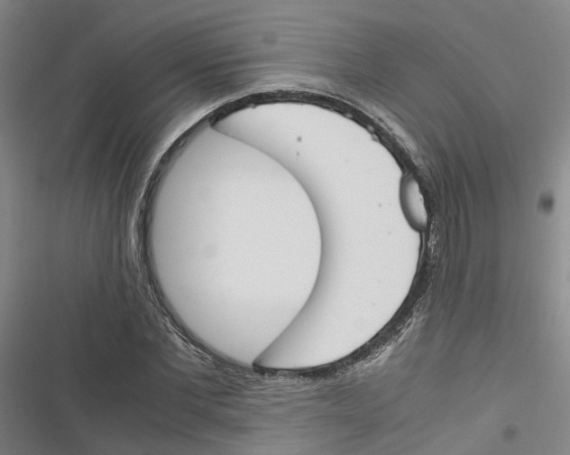 X0000116820877201001151203